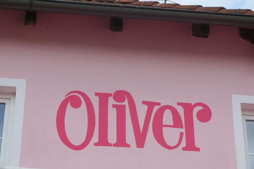 Penzion Oliver Horní Planá Exteriör bild
